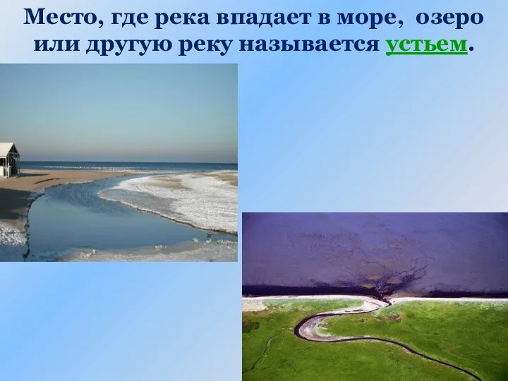 Место, где река впадает в море, озеро или другую реку называется устьем.