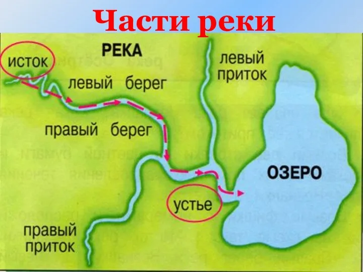 Части реки