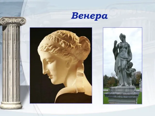 Венера