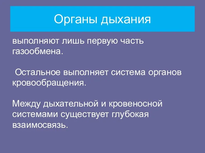 Органы дыхания выполняют лишь первую часть газообмена. Остальное выполняет система