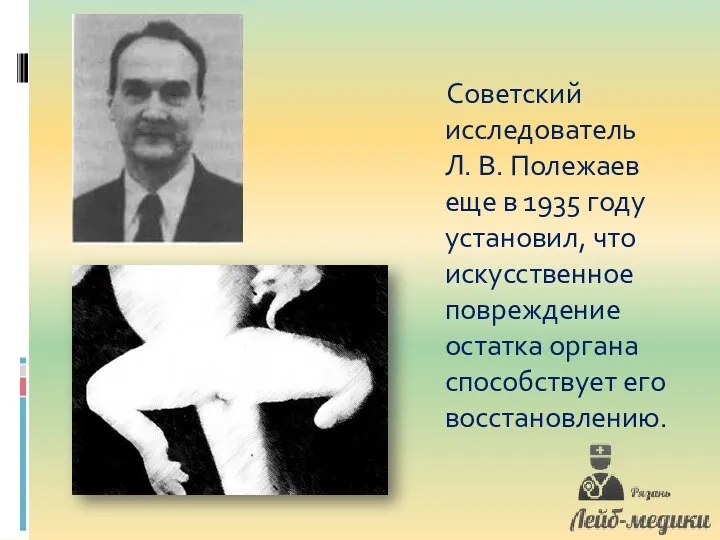 Советский исследователь Л. В. Полежаев еще в 1935 году установил,