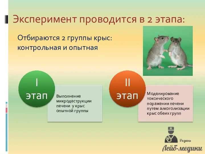 Эксперимент проводится в 2 этапа: Отбираются 2 группы крыс: контрольная и опытная