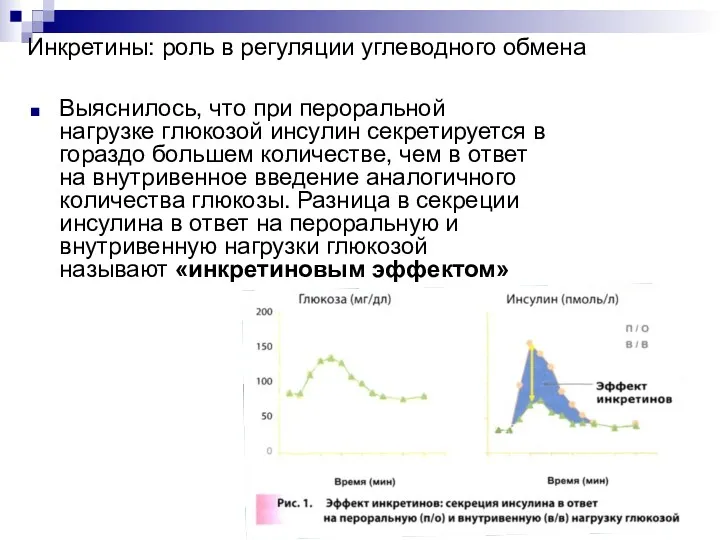 Инкретины: роль в регуляции углеводного обмена Выяснилось, что при пероральной