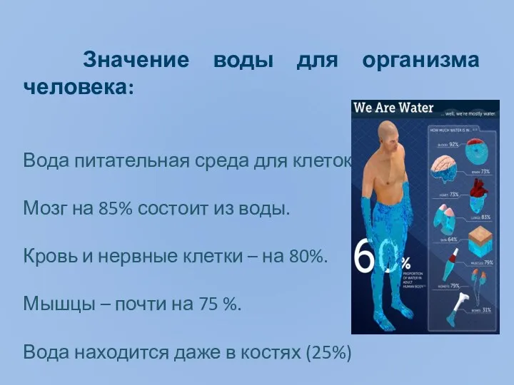 Значение воды для организма человека: Вода питательная среда для клеток.