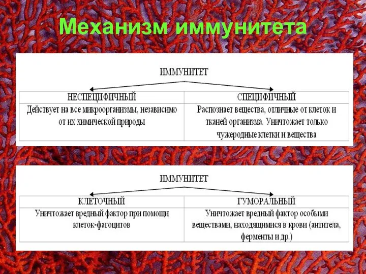 Механизм иммунитета