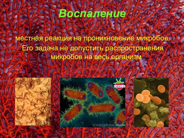 Воспаление местная реакция на проникновение микробов. Его задача не допустить распространения микробов на весь организм