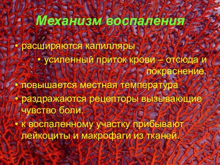 Механизм воспаления расширяются капилляры усиленный приток крови – отсюда и