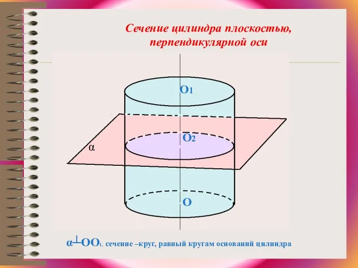 α┴OO1, сечение –круг, равный кругам оснований цилиндра Сечение цилиндра плоскостью, перпендикулярной оси O O1 O2 α