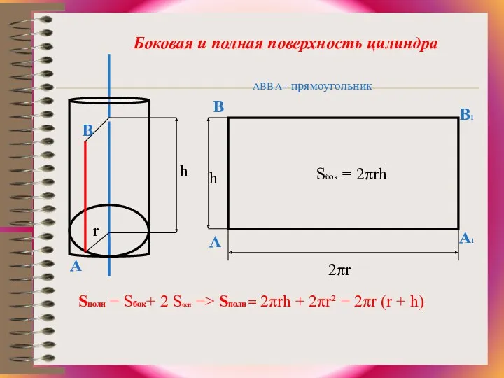 АВВ1А1- прямоугольник В А1 В1 А 2πr h Sбок =