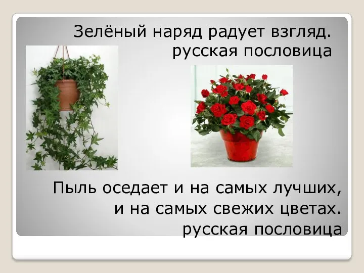 Пыль оседает и на самых лучших, и на самых свежих цветах. русская пословица