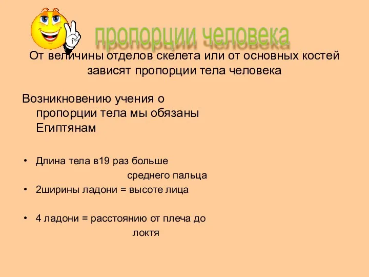 От величины отделов скелета или от основных костей зависят пропорции тела человека Возникновению