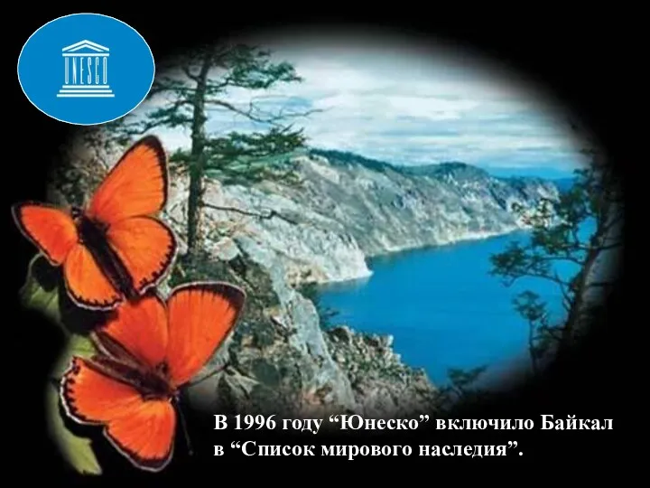 В 1996 году “Юнеско” включило Байкал в “Список мирового наследия”.