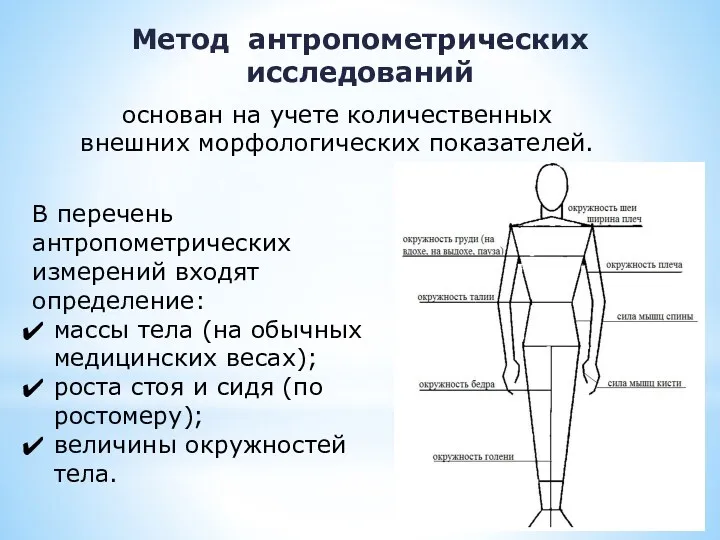 Метод антропометрических исследований В перечень антропометрических измерений входят определение: массы тела (на обычных