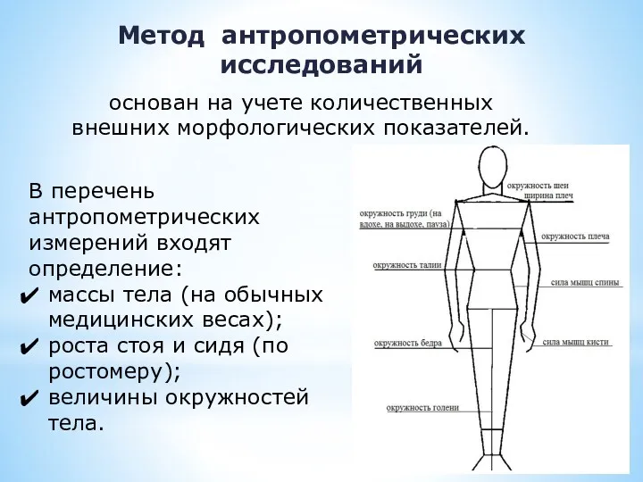 Метод антропометрических исследований В перечень антропометрических измерений входят определение: массы