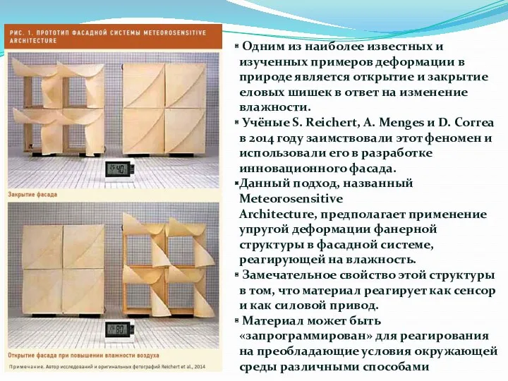 Одним из наиболее известных и изученных примеров деформации в природе