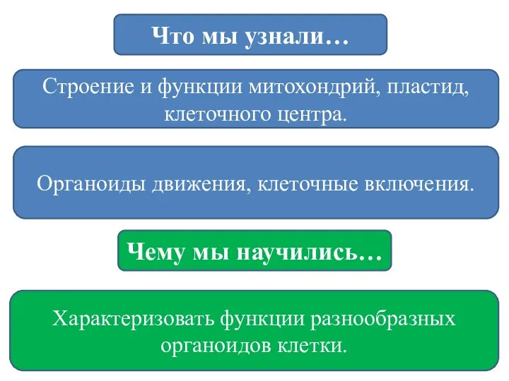 Строение и функции митохондрий, пластид, клеточного центра. Что мы узнали…