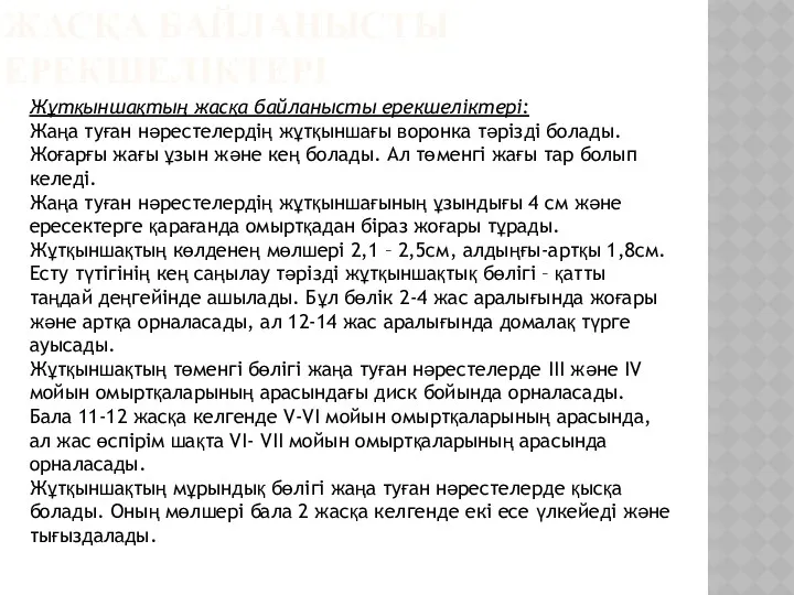 ЖАСҚА БАЙЛАНЫСТЫ ЕРЕКШЕЛІКТЕРІ Жұтқыншақтың жасқа байланысты ерекшеліктері: Жаңа туған нәрестелердің