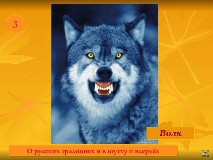 * 3 Волк О русских традициях и в шутку и всерьёз