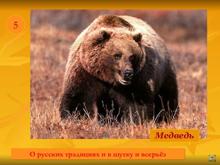 * 5 Медведь О русских традициях и в шутку и всерьёз