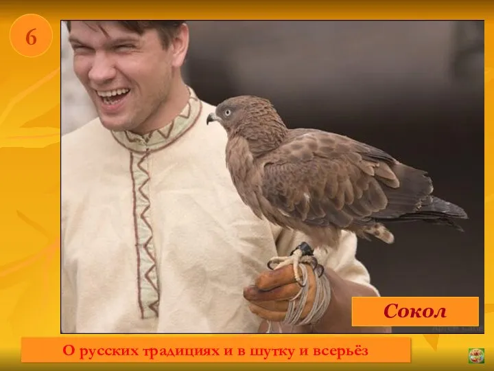 * 6 Сокол О русских традициях и в шутку и всерьёз