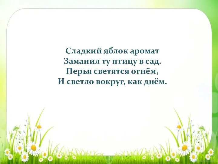 Сладкий яблок аромат Заманил ту птицу в сад. Перья светятся огнём, И светло вокруг, как днём.