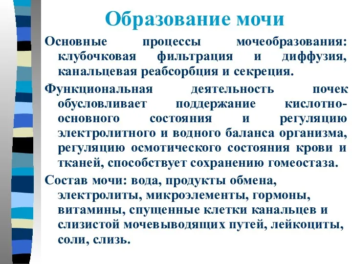 Образование мочи Основные процессы мочеобразования: клубочковая фильтрация и диффузия, канальцевая