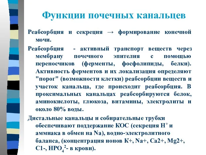 Функции почечных канальцев Реабсорбция и секреция → формирование конечной мочи.