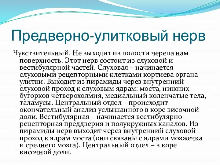 Предверно-улитковый нерв Чувствительный. Не выходит из полости черепа нам поверхность. Этот нерв состоит