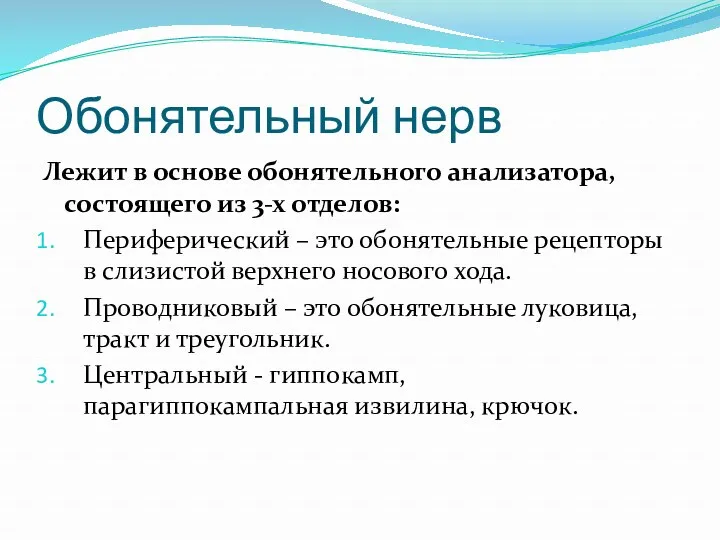 Обонятельный нерв Лежит в основе обонятельного анализатора, состоящего из 3-х отделов: Периферический –