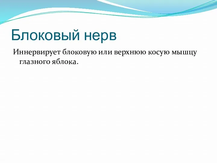 Блоковый нерв Иннервирует блоковую или верхнюю косую мышцу глазного яблока.