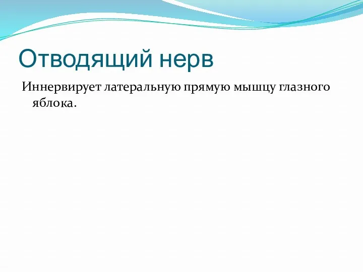 Отводящий нерв Иннервирует латеральную прямую мышцу глазного яблока.