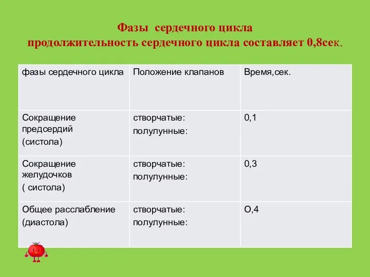 Фазы сердечного цикла продолжительность сердечного цикла составляет 0,8сек.