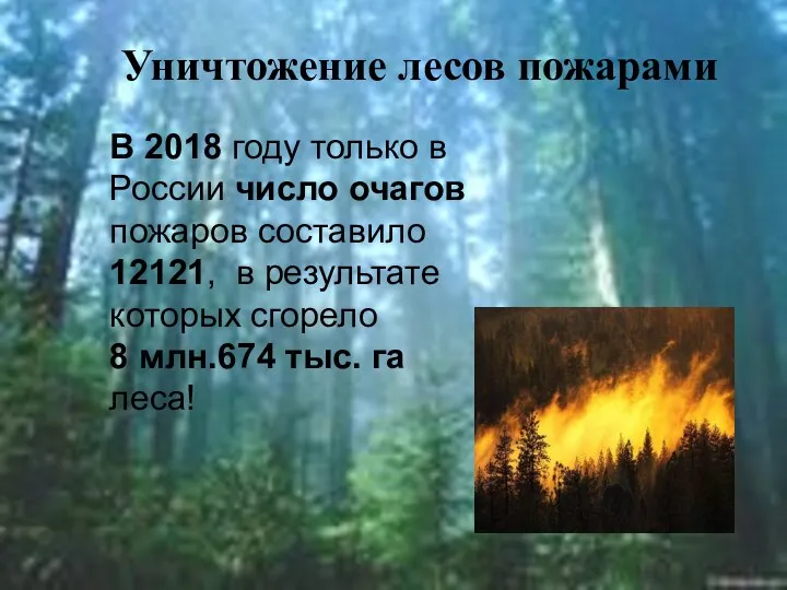 Уничтожение лесов пожарами В 2018 году только в России число