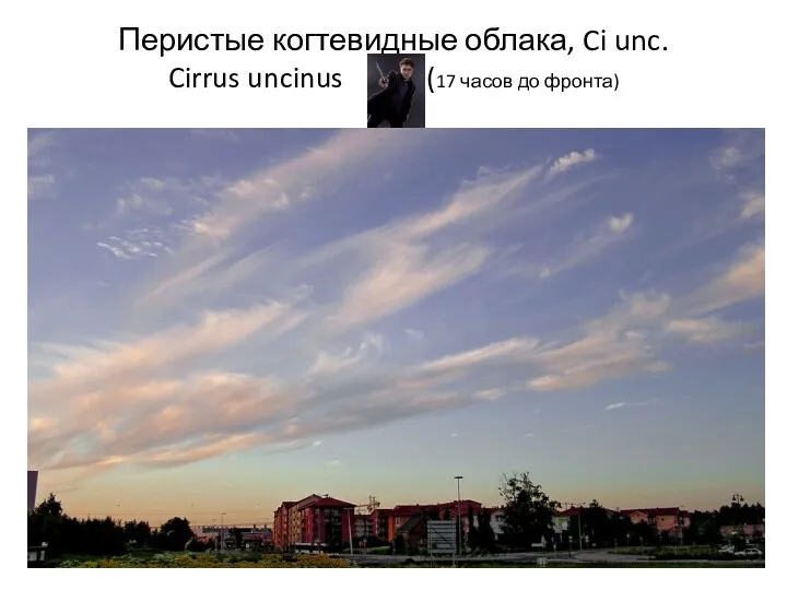 Перистые когтевидные облака, Ci unc. Cirrus uncinus (17 часов до фронта)