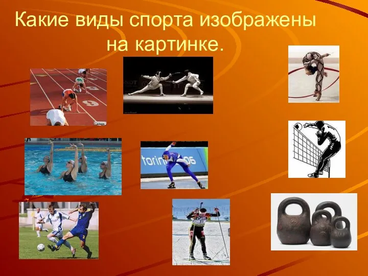 Какие виды спорта изображены на картинке.