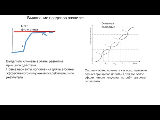 Выявление пределов развития Цикл филогенеза Большая эволюция Выделили ключевые этапы