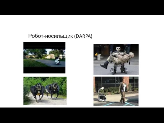 Робот-носильщик (DARPA)