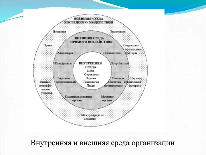 Внутренняя и внешняя среда организации