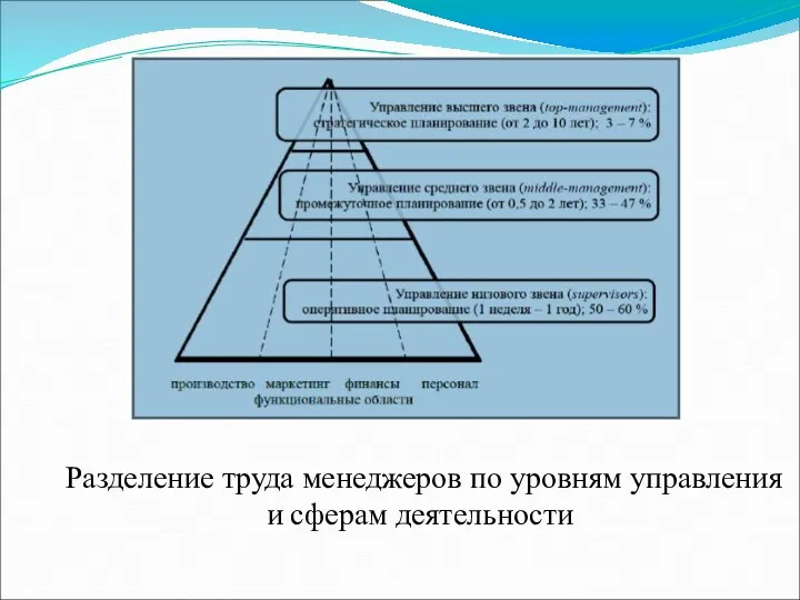 Разделение труда менеджеров по уровням управления и сферам деятельности