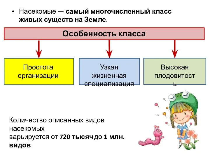 Насекомые — самый многочисленный класс живых существ на Земле. Простота