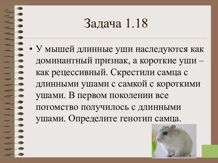 Задача 1.18 У мышей длинные уши наследуются как доминантный признак, а короткие уши