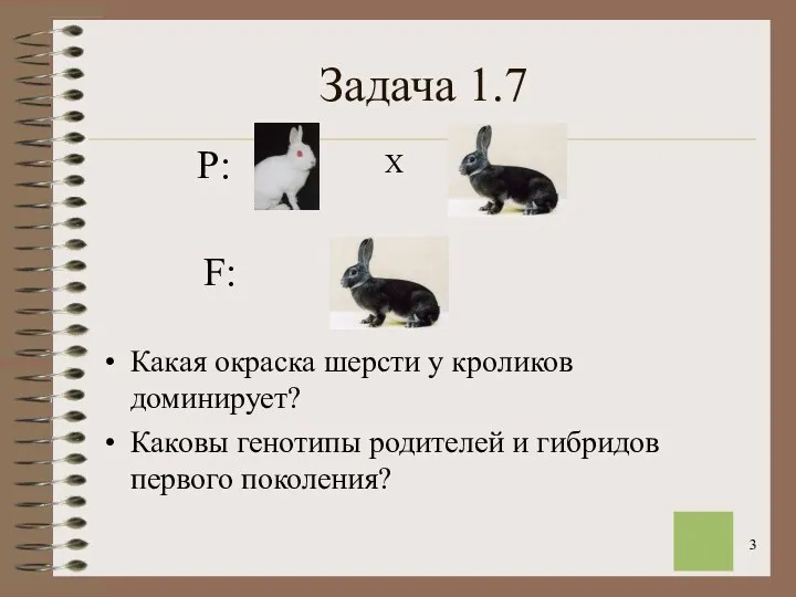 Задача 1.7 Какая окраска шерсти у кроликов доминирует? Каковы генотипы