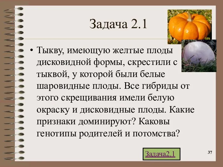 Задача 2.1 Тыкву, имеющую желтые плоды дисковидной формы, скрестили с тыквой, у которой