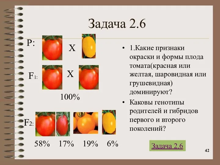 Задача 2.6 1.Какие признаки окраски и формы плода томата(красная или желтая, шаровидная или