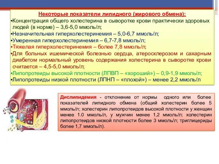 Некоторые показатели липидного (жирового обмена): Концентрация общего холестерина в сыворотке