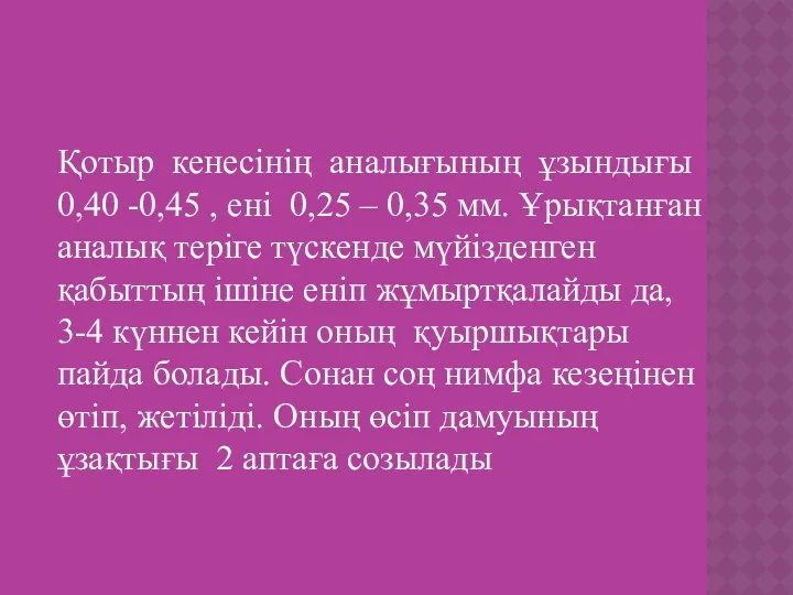 Қотыр кенесінің аналығының ұзындығы 0,40 -0,45 , ені 0,25 –