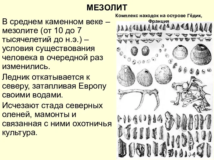 МЕЗОЛИТ В среднем каменном веке – мезолите (от 10 до