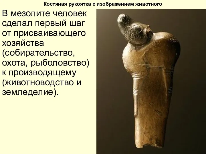 Костяная рукоятка с изображением животного В мезолите человек сделал первый