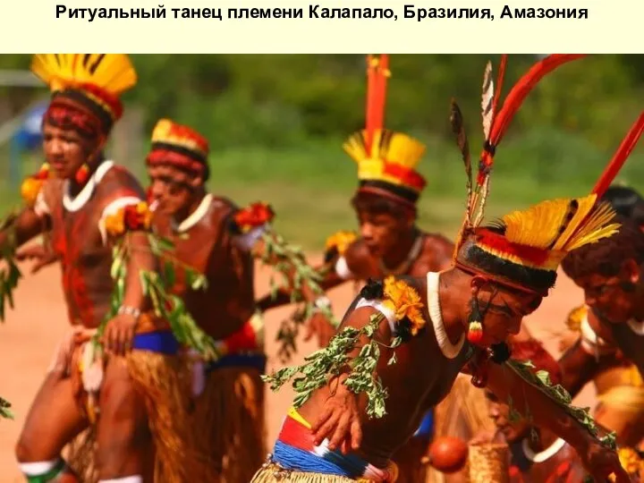 Ритуальный танец племени Калапало, Бразилия, Амазония