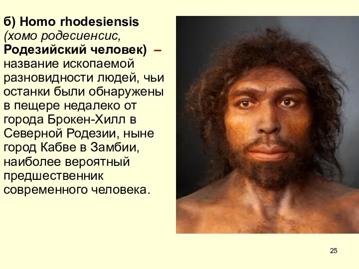 б) Homo rhodesiensis (хомо родесиенсис, Родезийский человек) – название ископаемой